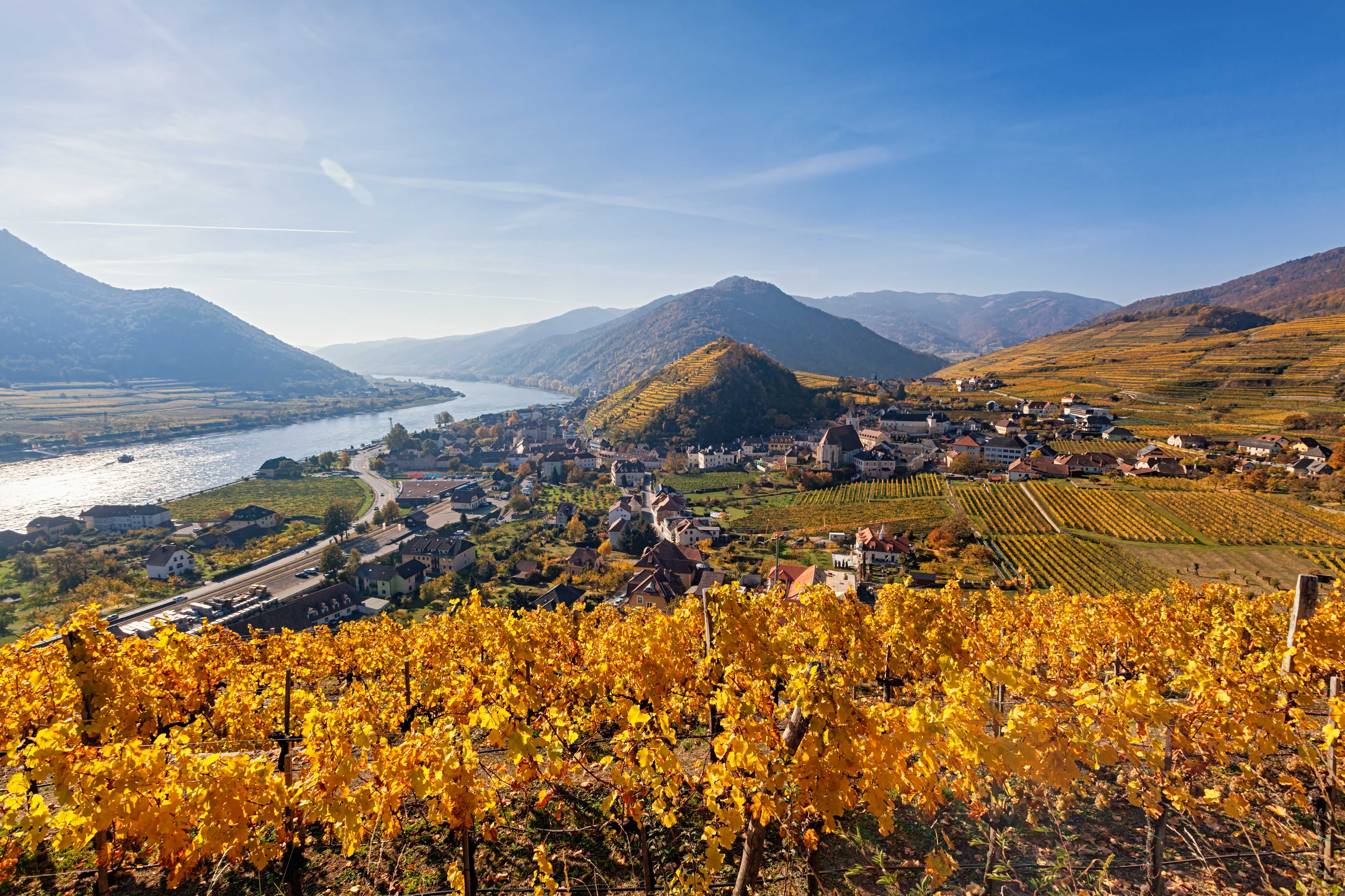 Panorama der Weinberge rund um Spitz im Herbst, Wachau, Österreich