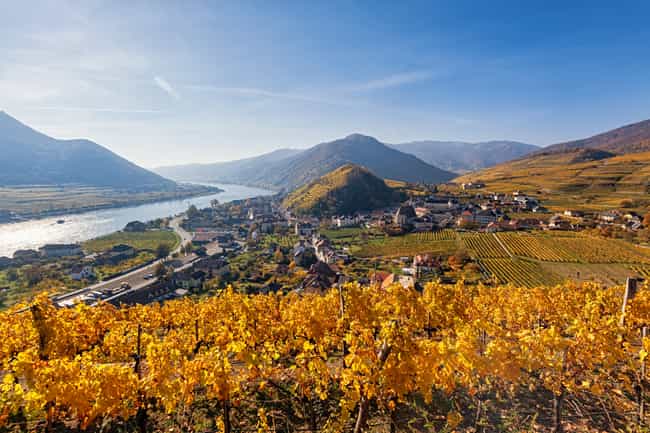 Panorama der Weinberge rund um Spitz im Herbst, Wachau, Österreich