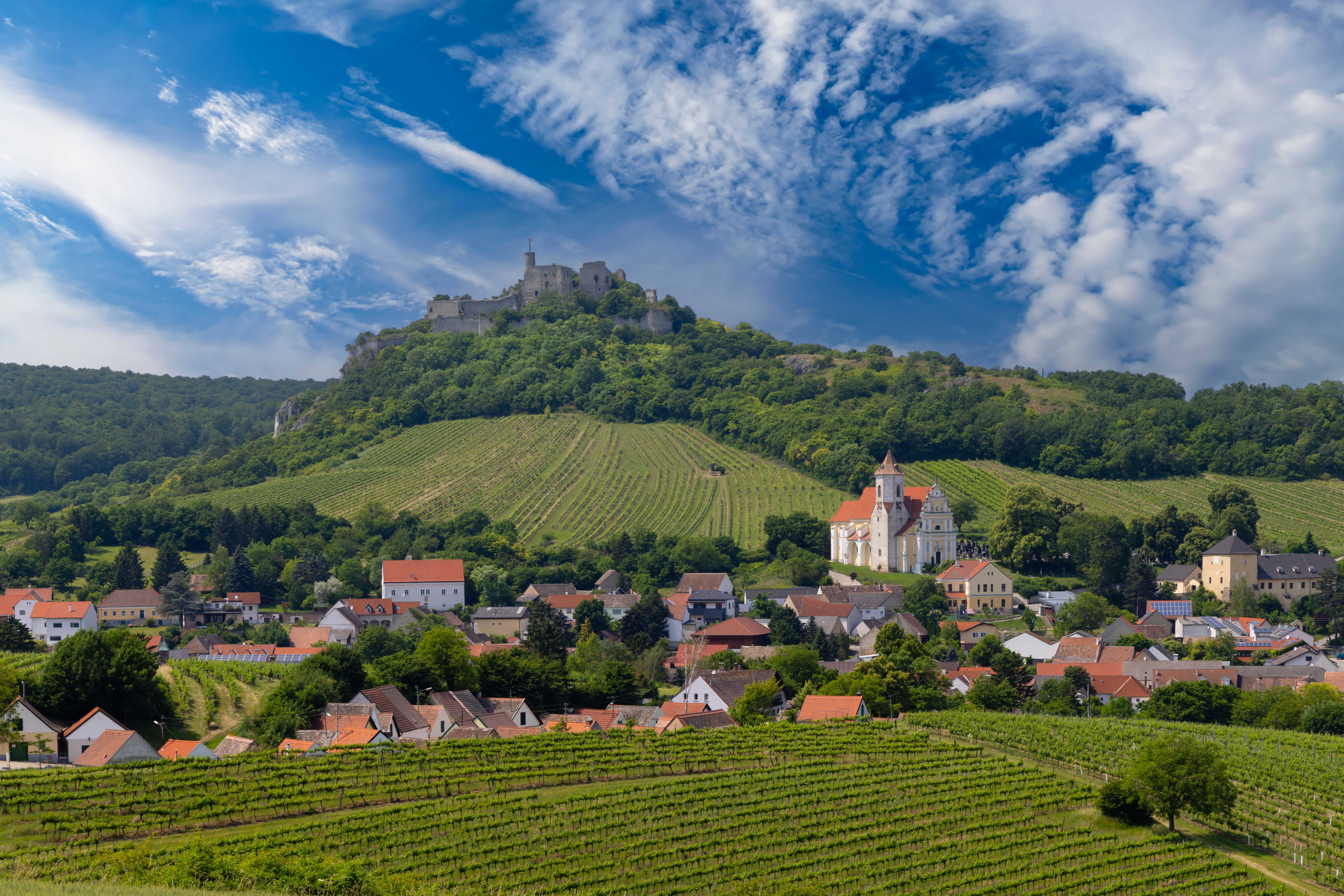 Panorama der Weinberge rund um Spitz im Herbst, Wachau, Österreich