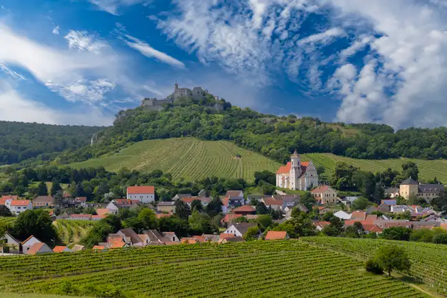 Panorama der Weinberge rund um Spitz im Herbst, Wachau, Österreich